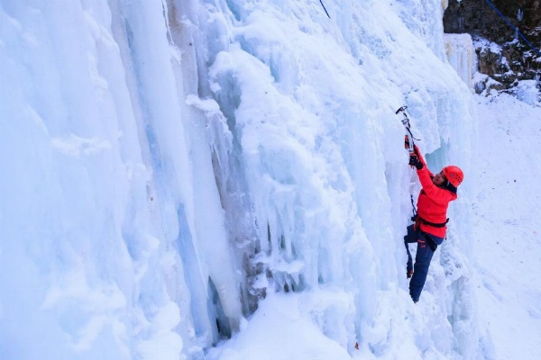 Staybridge Suites Hamilton - Downtown image 29